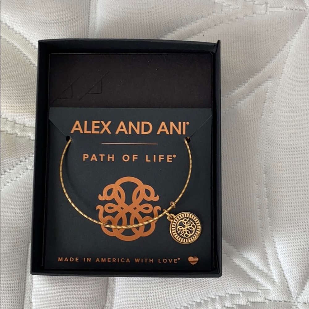 Alex and Ani bracelet